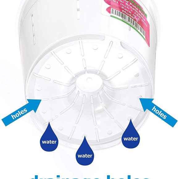 Orchid Pots with Holes - Breathable Clear Plastic - Picture 6 of 6